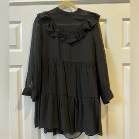 Zara Sheer Shift Dress with Ruffles and Zip-back XL with liner - Picture 3 of 9
